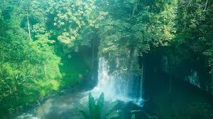 Partnership with Regional Health Centers