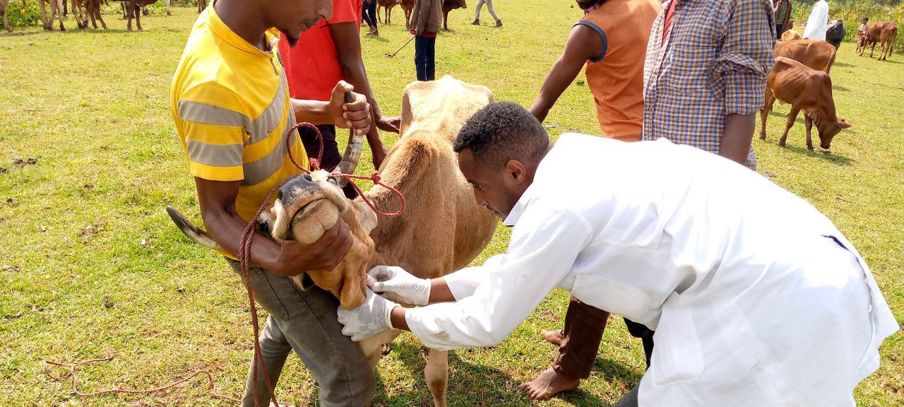 Major Tests done in Serology room